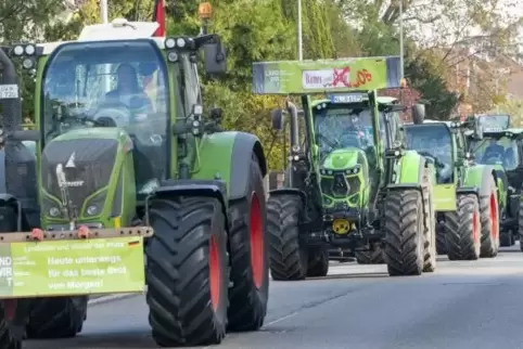 In der Maximilianstraße.