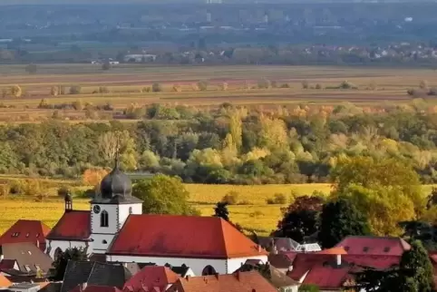 Ausblick vom Kämmertsberg auf St. Georg von Wachenheim und die Rheinebene.