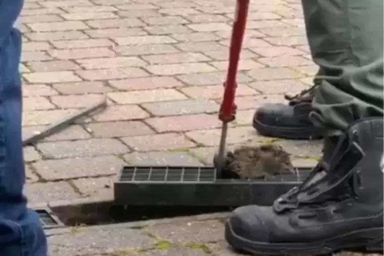 ... und w&auml;hrend der Rettungsaktion.