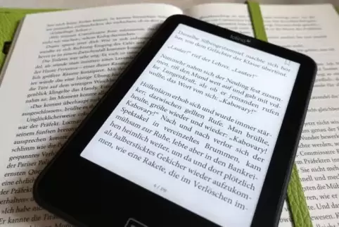 Knapp 12.000 E-Books wurden 2018 in Mutterstadt ausgeliehen.