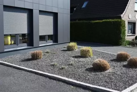Manche Kommunen, beispielsweise in Bremen, haben den Schottergärten bereits den Kampf angesagt.