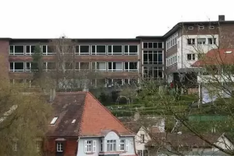 Beim Tag der offenen Tür an der IGS Waldfischbach-Burgalben berichten Oberstufenschüler über ihre Erfahrungen.