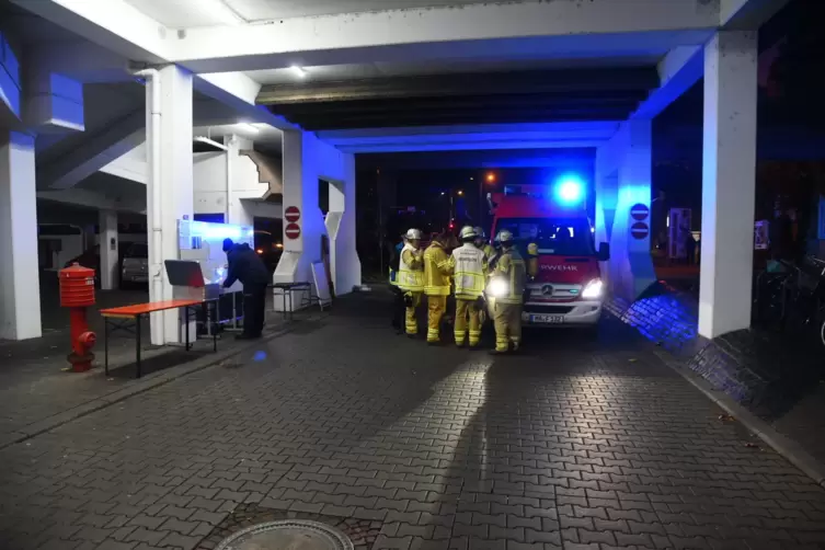 Mannheim_Neckarpromenade_Einsatz_2019_11_24_-04-_PRIEBE.jpg