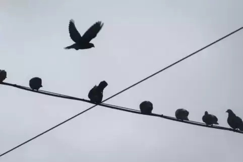 Es wird beziehungsweise bleibt grau. 