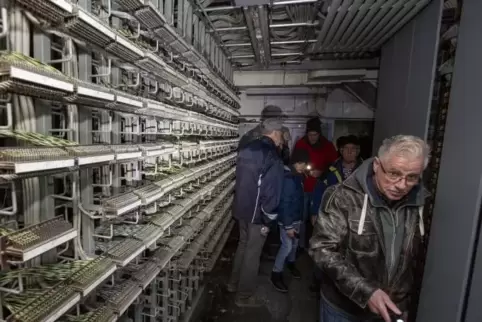 In der Unterwelt: Wolfgang Würmell führt die Gäste der RHEINPFALZ-Tour durch das Labyrinth der Kindsbacher Bunkeranlage, die bis