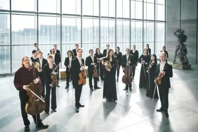 Das Mendelssohn Kammerorchester ist im Jahr 2000 aus einem Jugendorchester heraus entstanden.