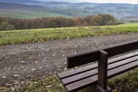 Panoramablick von der Herrenbergstraße bei Reichenbach-Steegen: Hier startet der Musikantenweg.