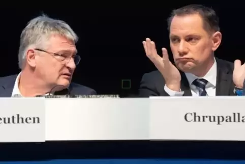 Der wiedergewählte und der neue AfD-Bundesvorsitzende: Jörg Meuthen (links) und Tino Chrupalla.