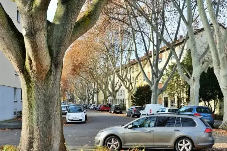 Blick in die Kurfürstenstraße, wo im November ein Mann in seiner Wohnung umgebracht wurde.
