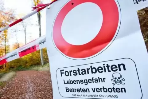 Die Arbeiten im Walkd an der K32 sind bald abgeschlossen. Ab Donnerstag ist die Straße wieder befahrbar.