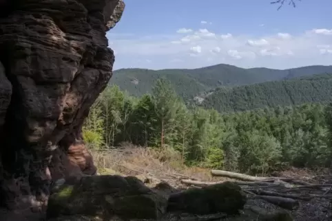 Einer der Wanderwege, die Walter Meyer in seinem Konzept vorschlägt, führt zum Rauschlochfelsen, der vor einiger Zeit freigestel