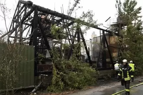 Im August 2018 brannte es in diesem ehemaligen Kalksteinwerk in Bobenheim-Roxheim.