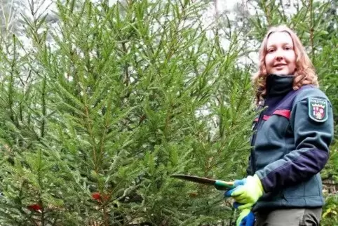 Jenny Petretschek vom Forstamt Hinterweidenthal sägt sich ihren Weihnachtsbaum selbst, eine Fichte aus dem Pfälzerwald.