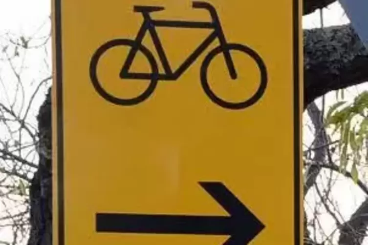 Wo soll der Fahrradweg zwischen Meckenheim und Rödersheim entlangführen?