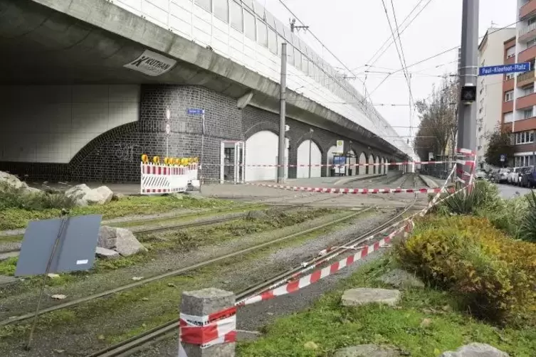 Nichts geht mehr auf und unter der &bdquo;Pilzhochstra&szlig;e&ldquo;