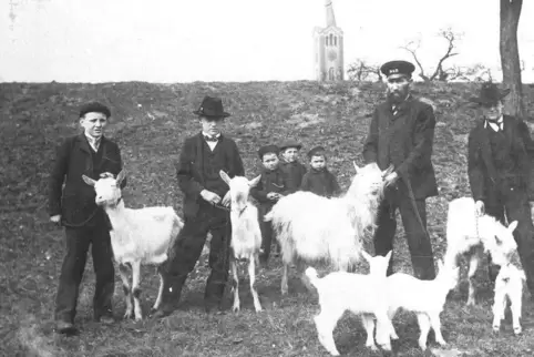 Ein Bild aus der Zeit, als über Eingemeindungen verhandelt wurde: Mörscher Bauern mit ihren Ziegen. Für den Fotografen hatten si