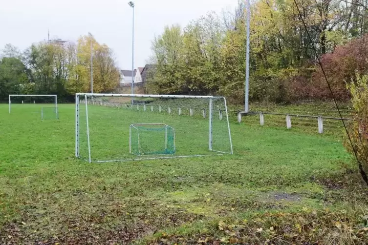 Zugewachsen: die Stehränge (rechts) auf der Sportanlage des Ex-Verbandsligisten SG Pirmasens an der Winzlerstraße.