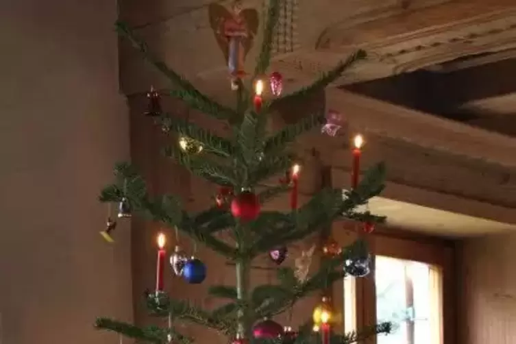 Der traditionelle Weihnachtsbaum ist nach wie vor im Trend.