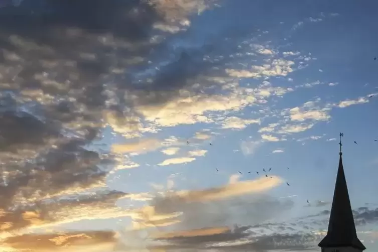 Dritter Platz: das Foto von Lilli Steiger, das den Kirchturm und Abendsegler zeigt.