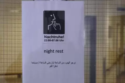 Für nächtliche Ruhe sorgte bislang im Pfalzring-Wohnheim ein Sicherheitsdienst. 