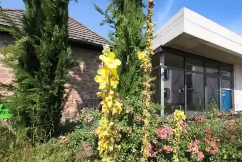 Angedachte neue Traustätte in Römerberg: das Zehnthaus in Berghausen, das derzeit umgebaut wird und im Januar 2020 wiedereröffne