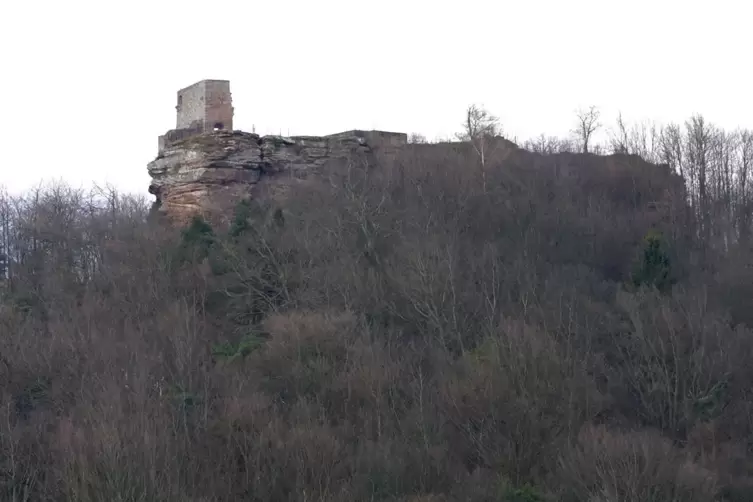 Burg_Lindelbrunn_van.JPG