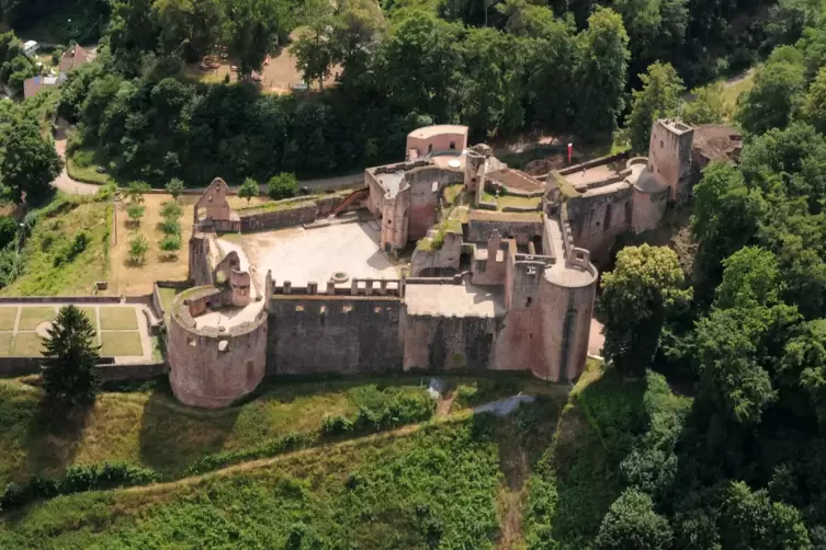 hardenburg_franck.JPG