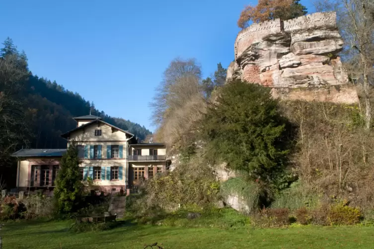 BUrg_Diemerstein_Foto_view.JPG