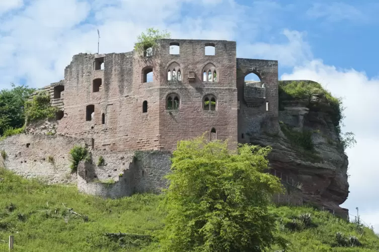 Burg_Frankenstein_view.JPG