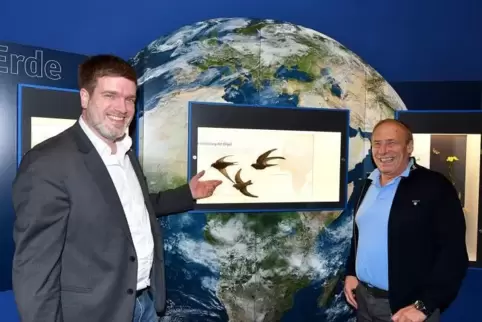 „Weit blicken“ können die Besucher des Bad Dürkheimer Pfalzmuseums in einem Raum, der dem Einfluss von Sonne, Mond und Erde auf 
