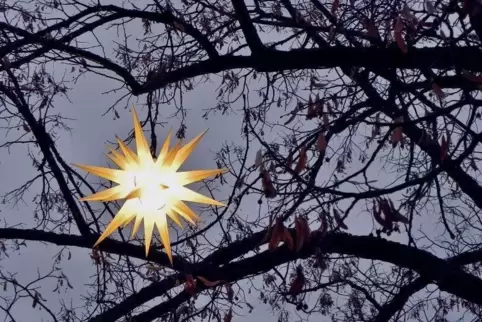 Wenn die frühe Dunkelheit kommt, leuchten im Gezweig dieses Baums helle Sterne auf.