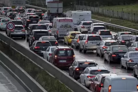 De naddierliche Lewensraum vun emme Rheinland-Pälzer isch de Stau. Odder?