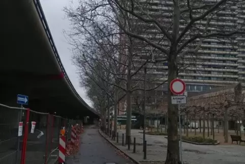 Um diese Bäume an der Hochstraße Süd geht’s.