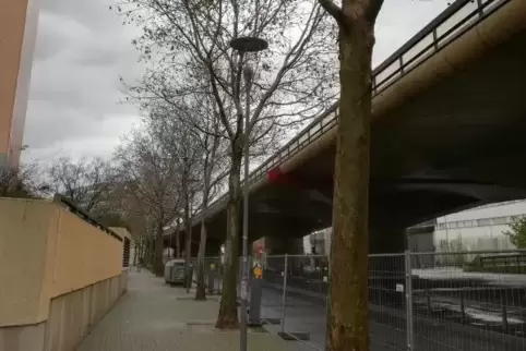 Diese auf einem Gehweg direkt an der Hochstraße Süd stehenden Platanen sollen nach dem Willen der Stadt Ludwigshafen für eine Ba