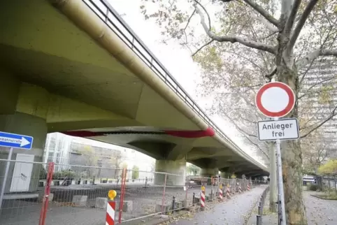 Die Stadt darf die Platanen an der Hochstraße Süd fällen, um eine Baustelle für Abrissarbeiten einzurichten.