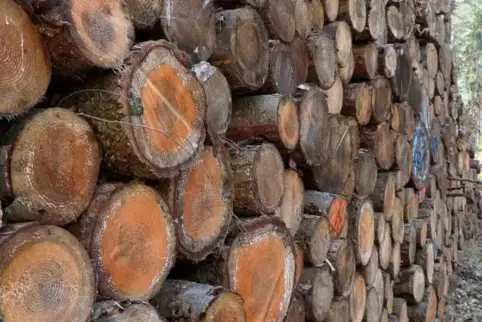 Die gefallenen Holzpreise schmälern den Gewinn beim Gemeindewald.