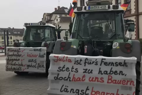 32_Landau_Bauernproteste_Boeckmann.JPG