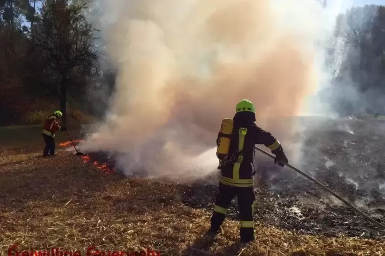 45_Brandstifter_Feuerwehr_frei.jpg