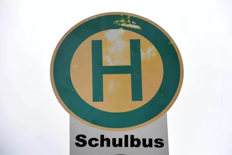 41_Schulbus_haelt_nicht_dpa.JPG