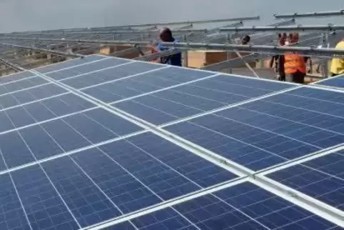 Ein Solarpark wie dieser auf der ehemaligen Deponie in Haßloch soll nun zwischen A6 und L 453 auf Heßheimer Gemarkung entstehen.