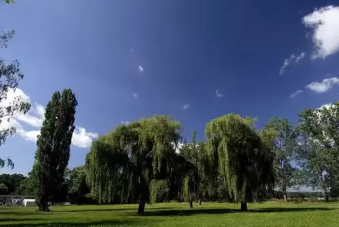 Das Freibadgelände in Lambsheim wollen die VG-Ratsmitglieder von SPD und Grüne von Bebauung freihalten.