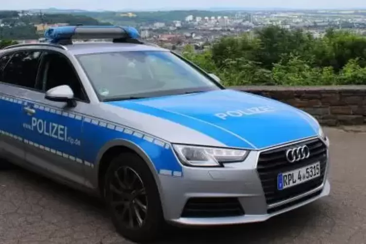 Seit Oktober 2016 im Einsatz: Standard-Streifenwagen der rheinland-pfälzischen Polizei ist derzeit ein relativ kleiner Audi-Komb