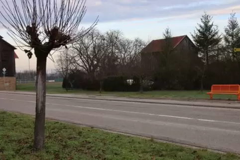 Eine von dreien: die Waldseer Mitfahrerbank in Richtung Altrip.