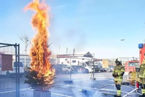 Vorsicht an Heiligabend: Innerhalb weniger Sekunden brennt ein Weihnachtsbaum lichterloh.