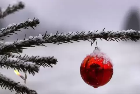 Eine weiße Weihnacht wird es auch in diesem Jahr in der Pfalz nicht geben, sagen die Meteorologen voraus.