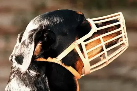 265 Menschen wurden in Rheinland-Pfalz im vergangenen Jahr durch Hunde verletzt.