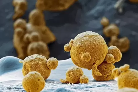 Rasterelektronenmikroskope schaffen besonders plastische Aufnahmen: Hier das eingefärbte Bild eines Lithium-Nickel-Oxids, einer 