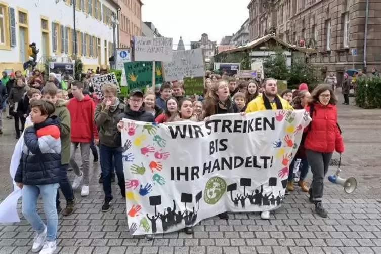 Fridays for Future in Speyer: Abschlusskundgebung Ende November auf dem Domplatz.