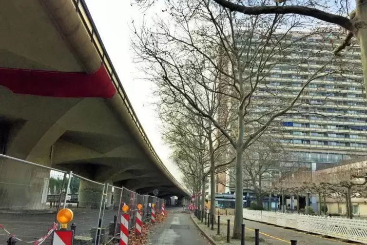 Am 27. Januar soll an der Hochstraße Süd die Baustelle für den Abriss eingerichtet werden. 14 Platanen müssen dafür weichen. Bis