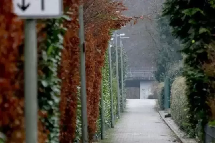 Radfahrer und Fu&szlig;g&auml;nger sollen sich den 2,50 Meter schmalen Weg teilen.